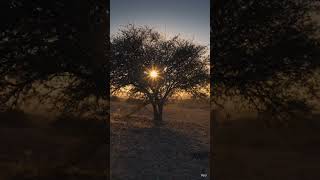 Amazing sunsets at Mount Tabor in Israel