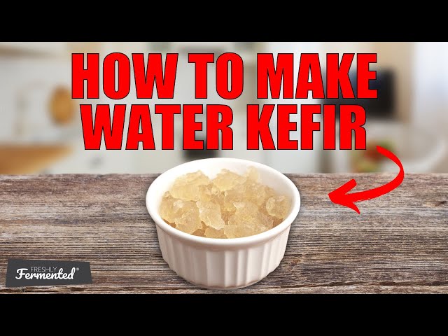 Water Kefir Recipe - Easiest Step-by-Step Method - An Oregon Cottage