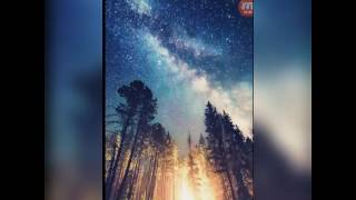 mis imagenes tumblr ( fondos de pantalla)