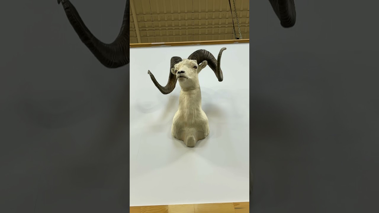 Regulators Mount Up! YouTube