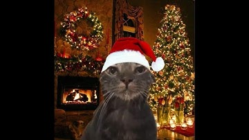 SOLO Octane 53 KILLS and 14000 Damage