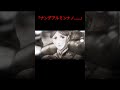 【過去最恐】みんなが思うであろう最恐トラウマED#進撃の巨人