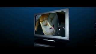 Warner Bros. Home Video Blu-Ray 3D - Trailer Hd 1080P