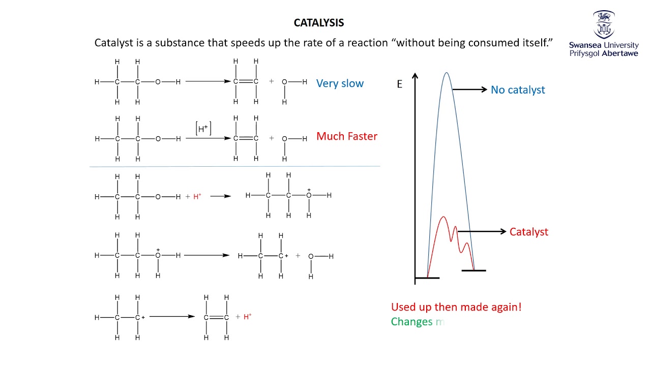 Foundation Rate of Reaction 5 Catalysis YouTube