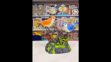 Singer Birds #shorts #youtubeshorts #toys #bird#singer