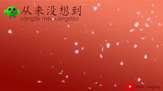 Cong Lai Mei Xiang Dao - 从来没想到