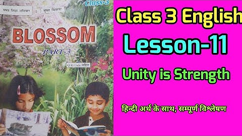 class 3 english chapter 11 bihar board | Unity is Strength explain | @homework651
