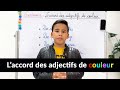 Laccord des adjectifs de couleur