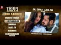 Tiger Zinda Hai Audio Salman Khan Katrina Mp3 Song