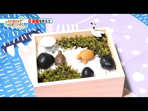 苔庭園を作ろう【enjoy!ガーデニング】 - YouTube