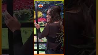 Cuida De La Palomita Que Se Metió Al Foro Del