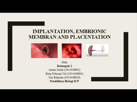 Materi"Implantation, Embrionic Membran and Placentation" #PerwanBioUNM