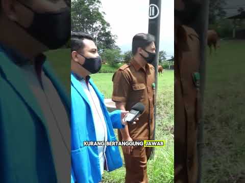 Pernah kepikiran kenapa peternakan bisa punya anak sapi, tapi gak keliatan pejantan di kandangnya?