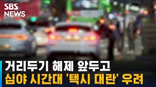 심야 시간대 이동 수요 늘텐데…'택시 대란' 어쩌나 / SBS