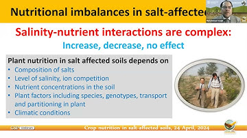 Crop nutrition in salt-affected soils, 24 April 2024, online