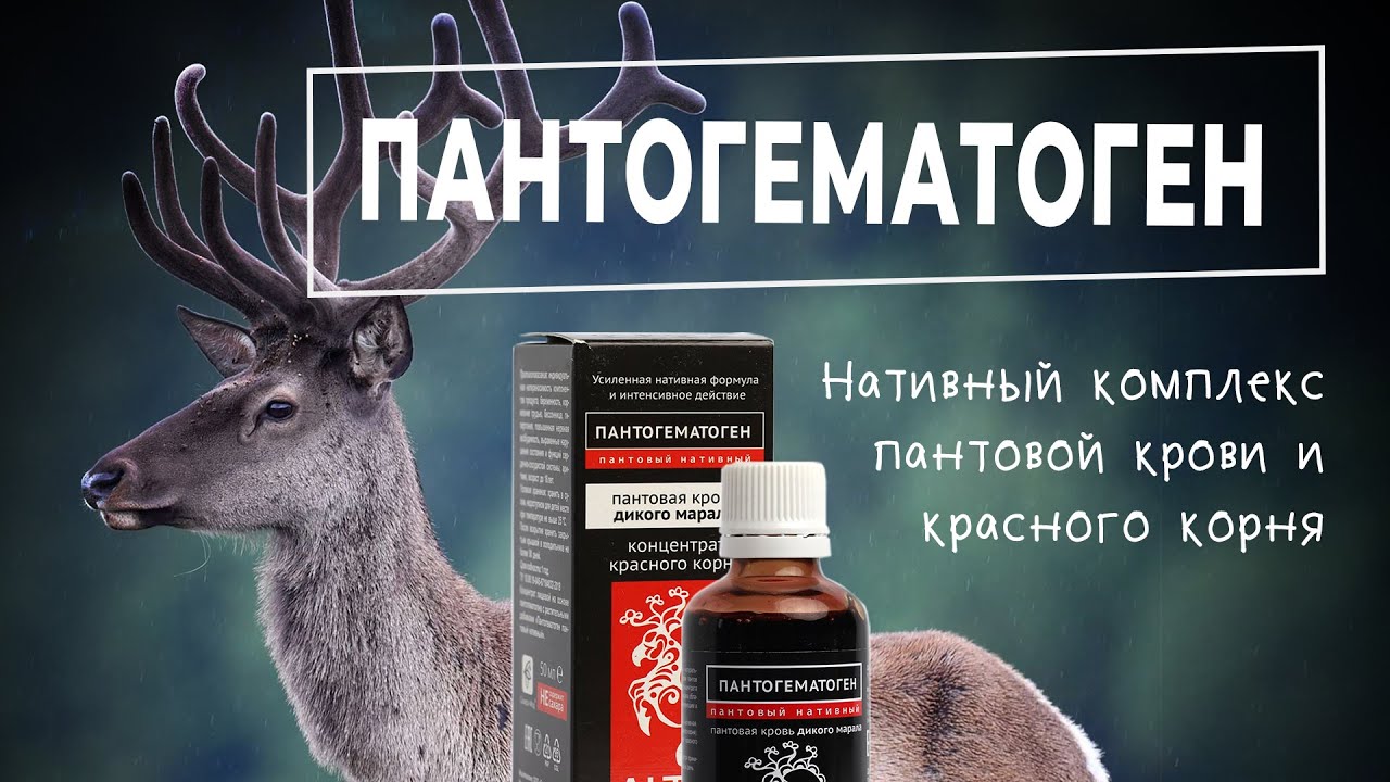 Пантогематоген от Сашера-мед – для повышения мужской силы и либидо ...