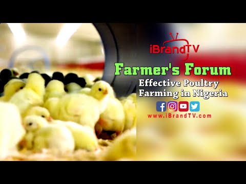 Farmer's Forum: Effective Poultry Farming in Nigeria