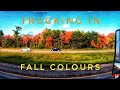 My Trucking Life | FALL COLOURS | #2082 | Sept 24/2020