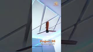 Project-95 Gannavaram (Ceiling) | Interior Designs | Home Decor | ARK INTERIORS & EXTERIORS