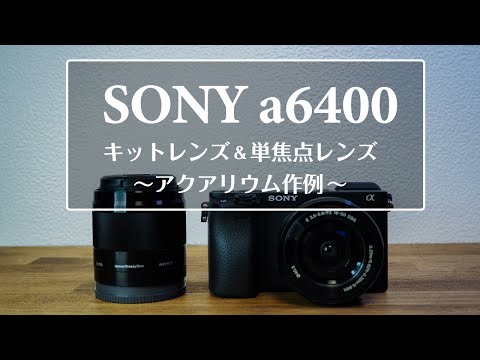 専用出品ショット数 4732 SONY a6400+SEL50F18+オマケ 新品)SONY (ソニー) α6400 ダブルズームレンズキット ILCE-6400Y
