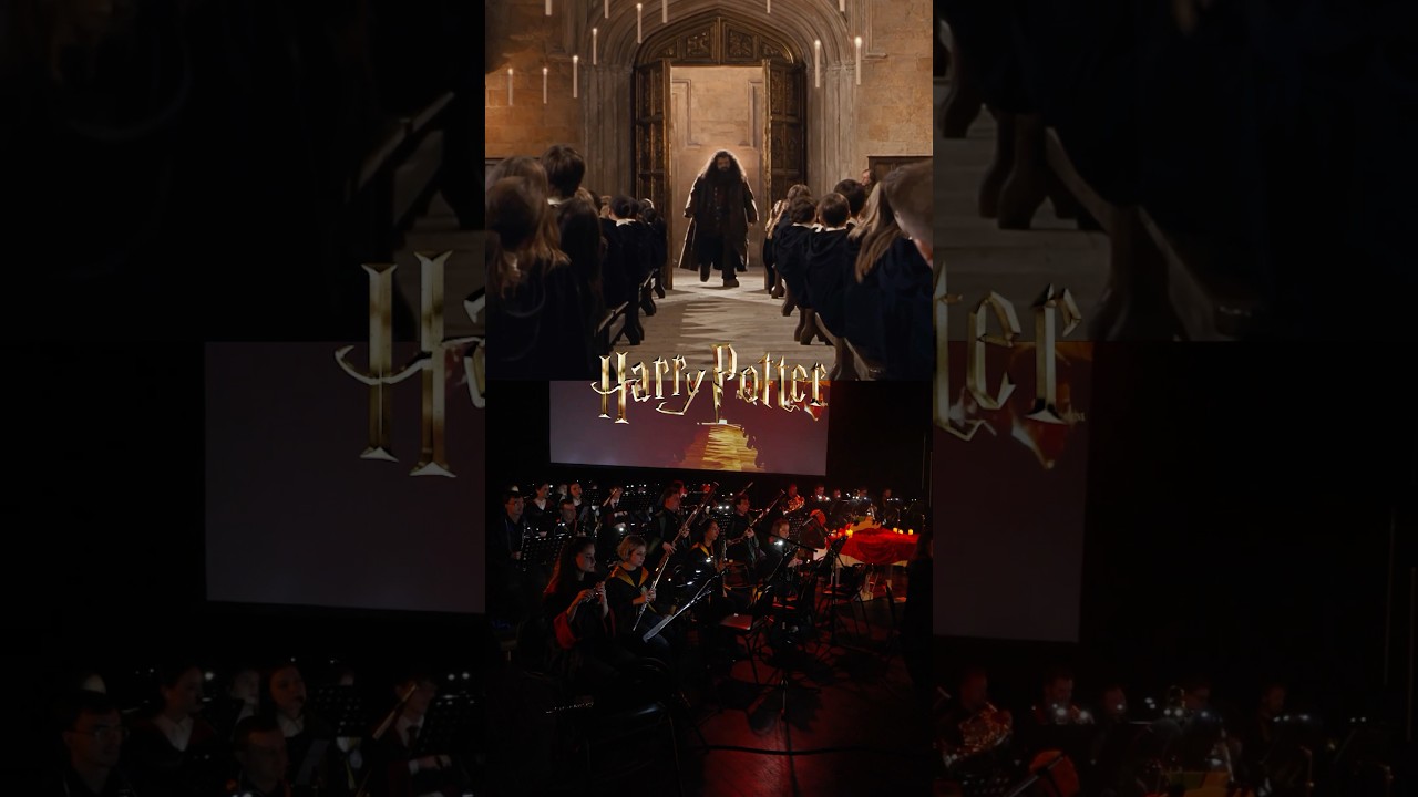Harry Potter | Imperial Orchestra #soundtrack #harrypotter - YouTube