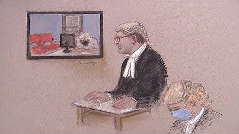 Julian Assange appears via video link for his extradition hearing