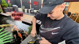 SO MANY KOI POND JOBS FINISHED **A CRAZY IDEA THAT MY SON HAD TO HELP ME FIX**