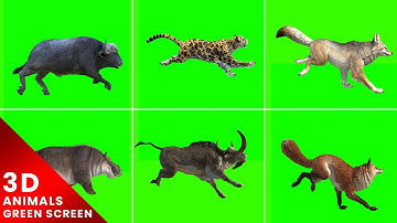 3D Animated Animals Running Green Screen For Editing For Free
