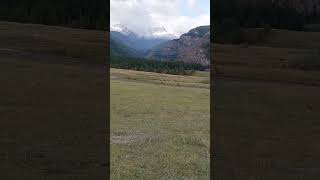 #горы #nature #собачка #animals