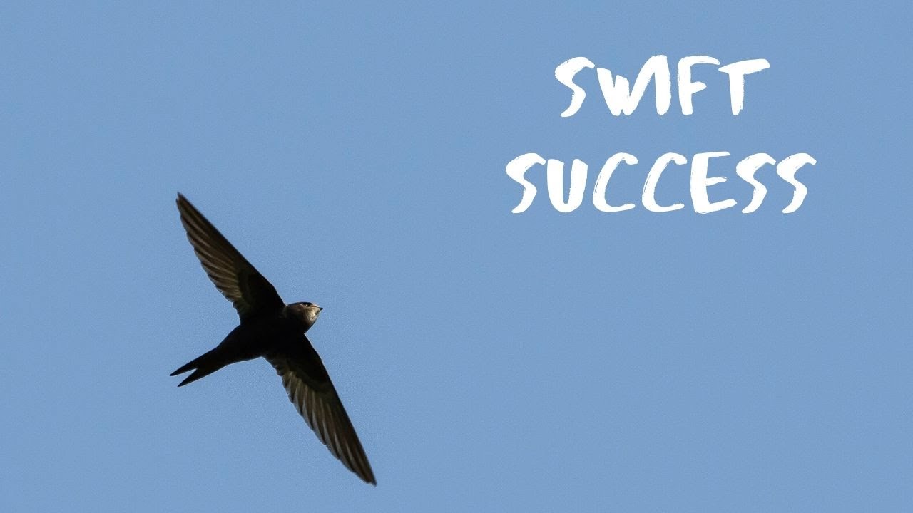 Swift success