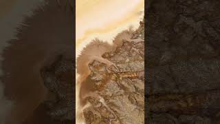 Download Lagu Did You Know The Hottest Place on Earth? #shorts #travel #ethiopia MP3