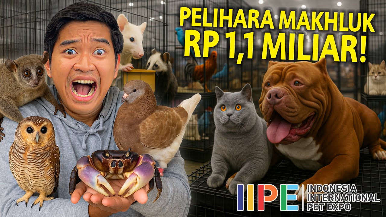 NEMU HEWAN PELIHARAAN RP 1,1 MILIAR DI PAMERAN HEWAN TERBESAR DI INDONESIA! GAK MASUK AKAL DISINI!