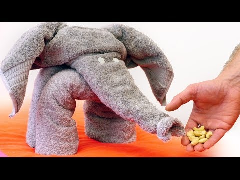كيفية صنع فيل المنشفة