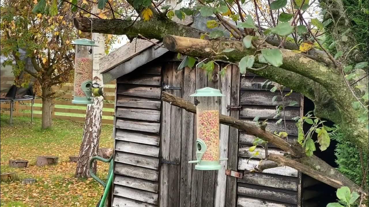 Grumpy Gardener Deluxe Suet Pellets for Birds YouTube