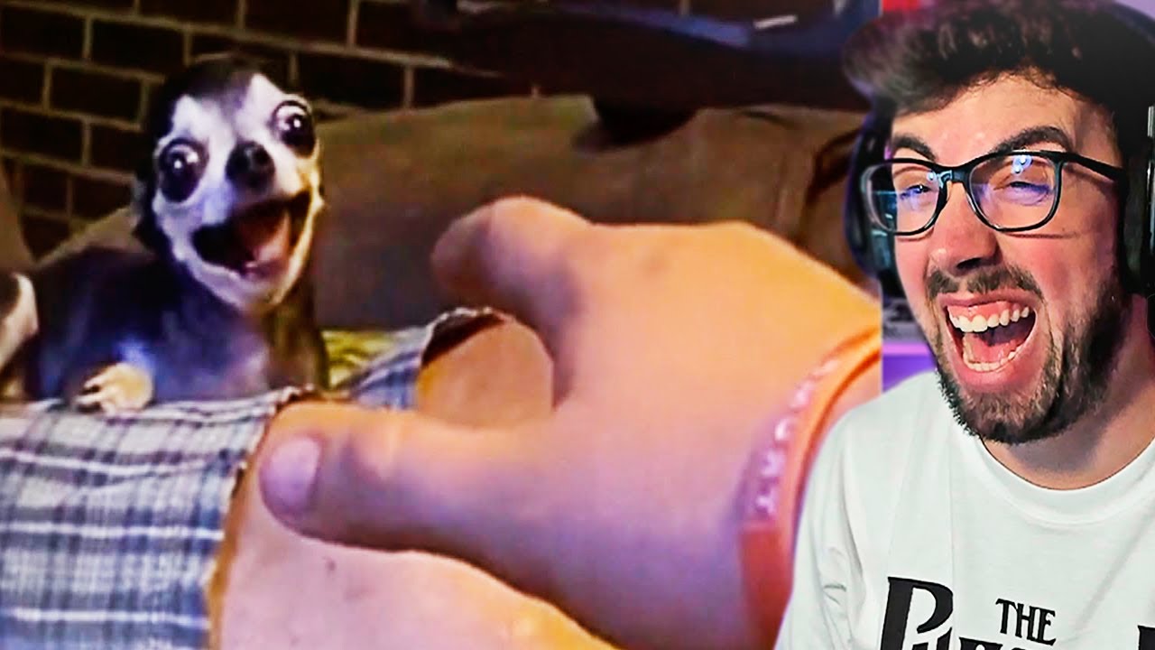 Si te RIES PIERDES nivel DIOS RANDOM MEMES ! 😂