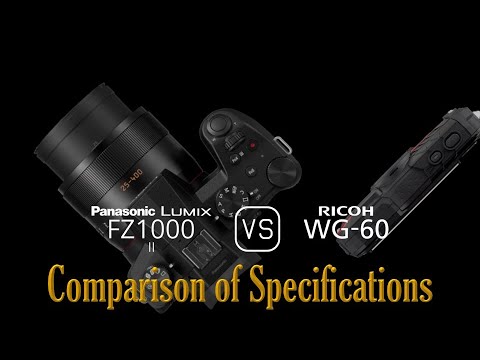 Panasonic Lumix FZ1000 II vs. Ricoh WG-60