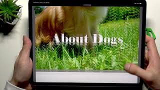 iPad Air (2026) – Как сканировать QR-коды без приложения screenshot 2