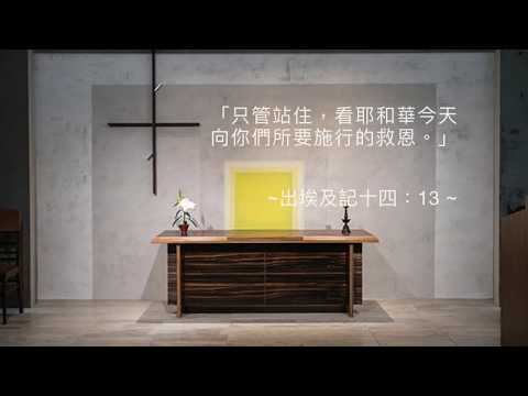 司布真 每日靈修：出埃及記十四：13