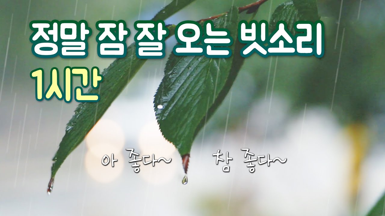 Rain Sounds 1 Hour＿Meditation, Deep Sleep, Relaxing Sounds