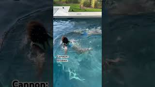 Racing My Son In The Swimming Pool To See Who Wins challenge family summer chaos