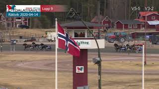 Vidéo de la course PMU PRIX STAR QUICK