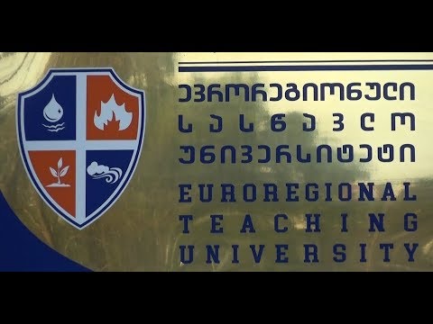 გორში ევრორეგიონულ უნივერსიტეტში საიუბილეო სამეცნიერო კონფერენცია გაიმართა 29.11.2017