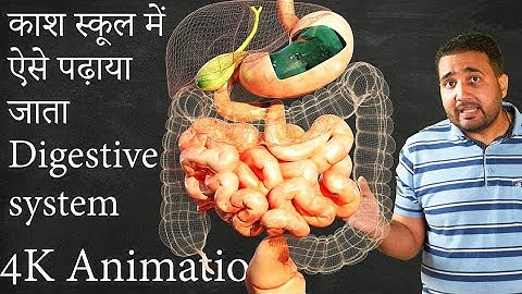 कैसे पचता है भोजन पेट में? How digestive system works Class 10 NEET JEE BOARD