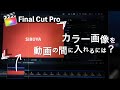 カラー画像を動画の間に挿入【ジェネレータ機能*ファイナルカットプロ】