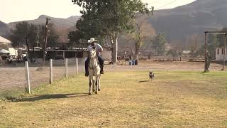 Rancho Santa Clara - Lerdo, Durango.