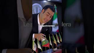 Flags and Banners of Mexican History