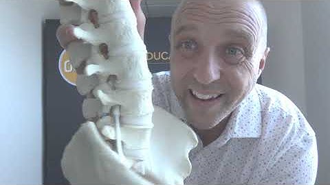 To flex or not to flex | modeling by Dr  jerome Fryer