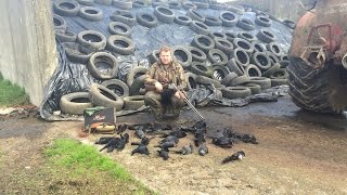 Left & Right On The Crows