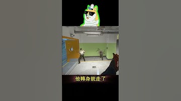 我奶奶這個時候都回頭了【CS2·搞笑】 #csgo #cs2 #全球攻勢 #絕對武力