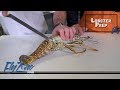 How to Clean a Florida Spiny lobster with Cod & Capers Seafood